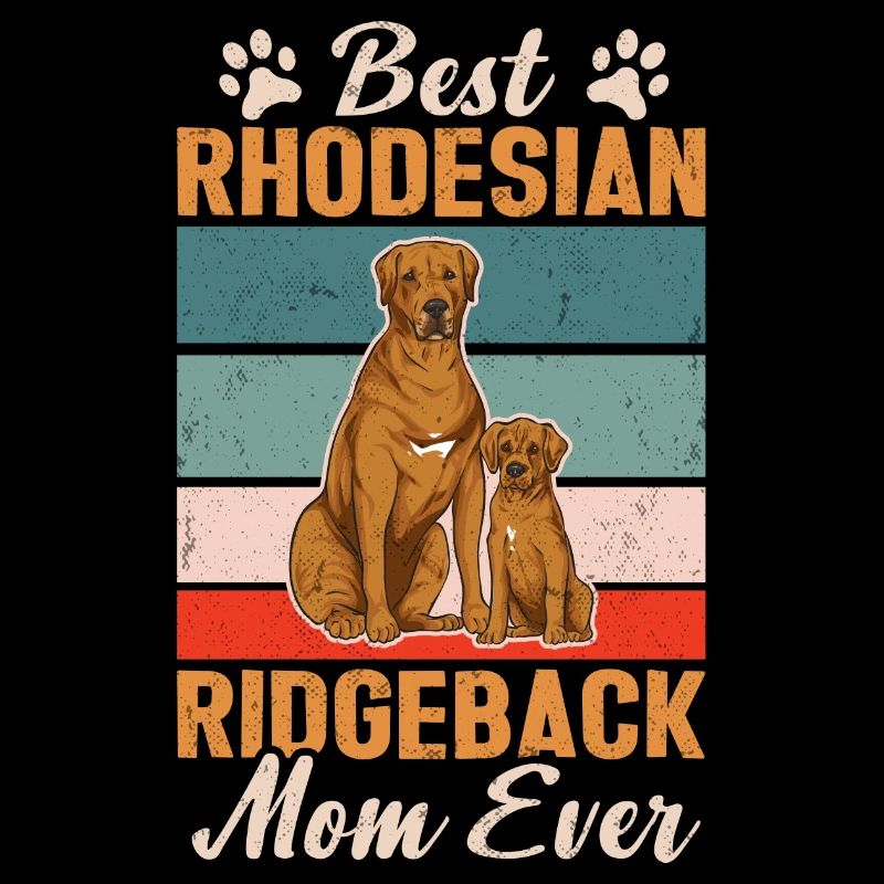 Rhodesian Ridgeback Hund