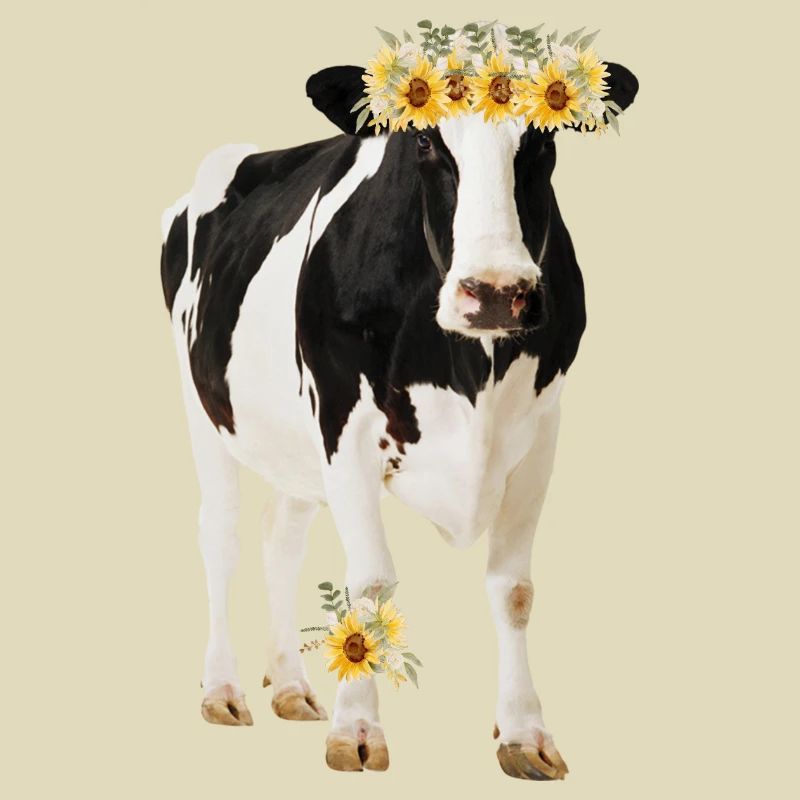 Vache Holstein avec des fleurs