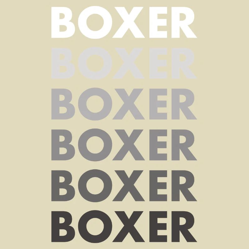 Boxer