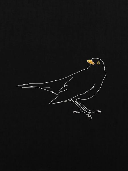 Amsel auf Dach