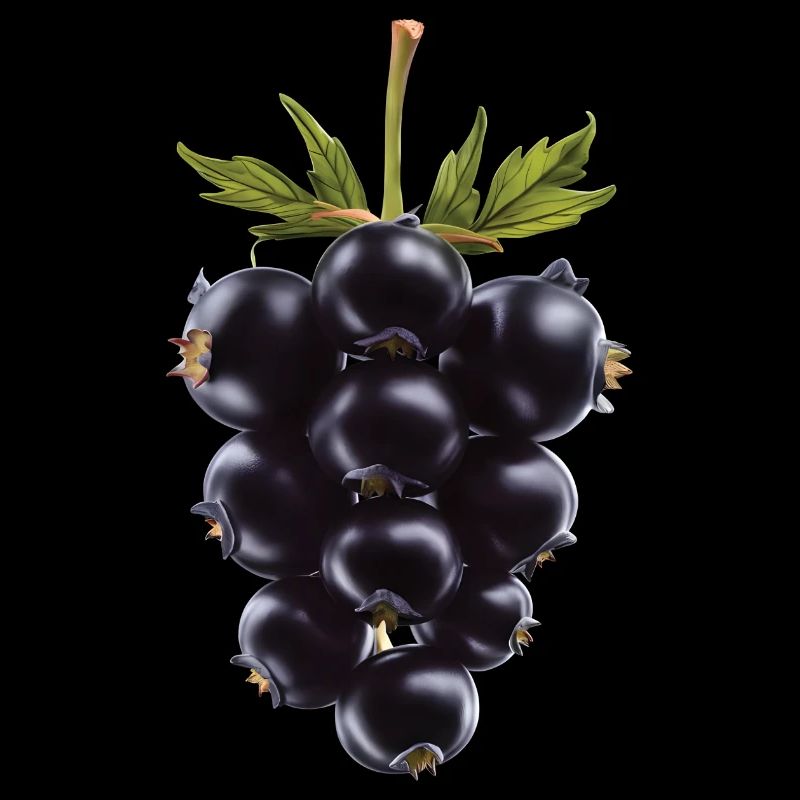 Brombeere Frucht