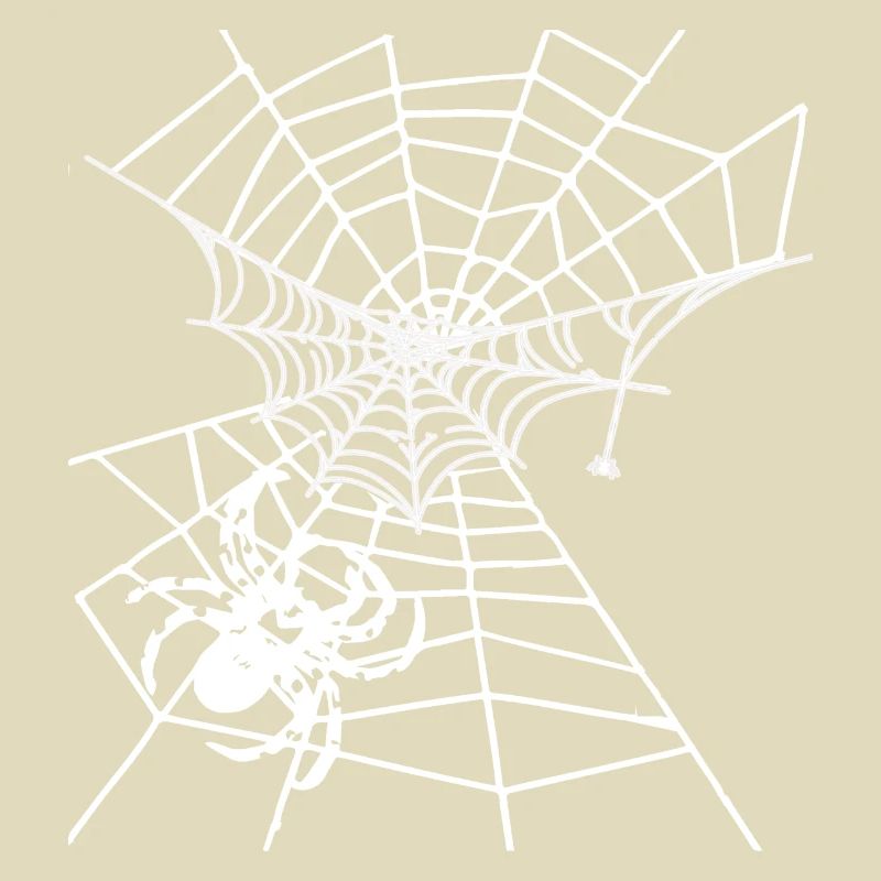 Spider, spider web, white web, Halloween