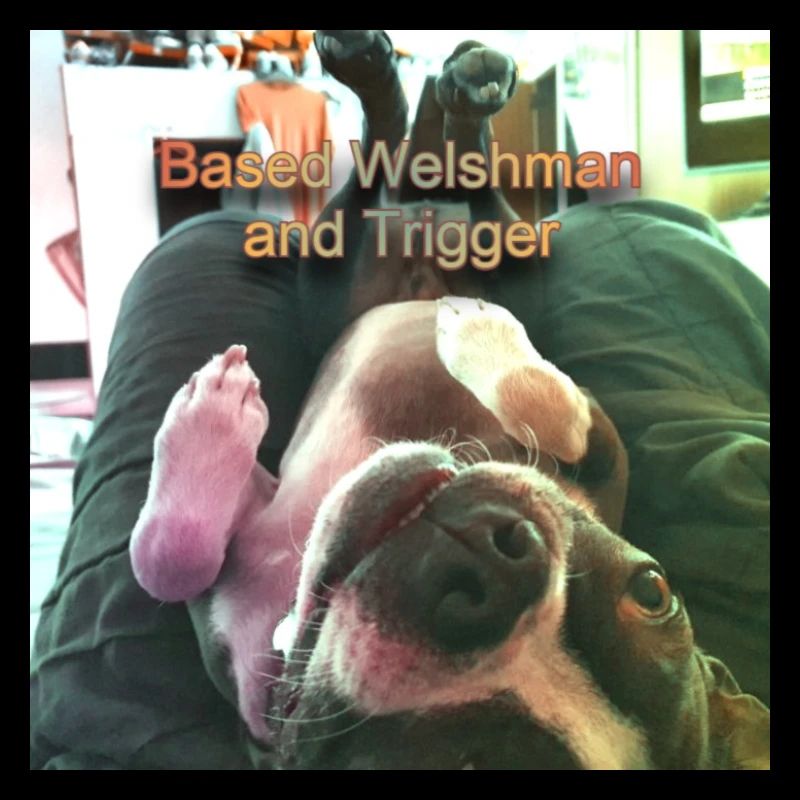 Trigger upside down text