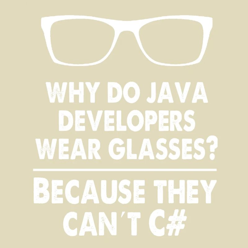 Developer Java