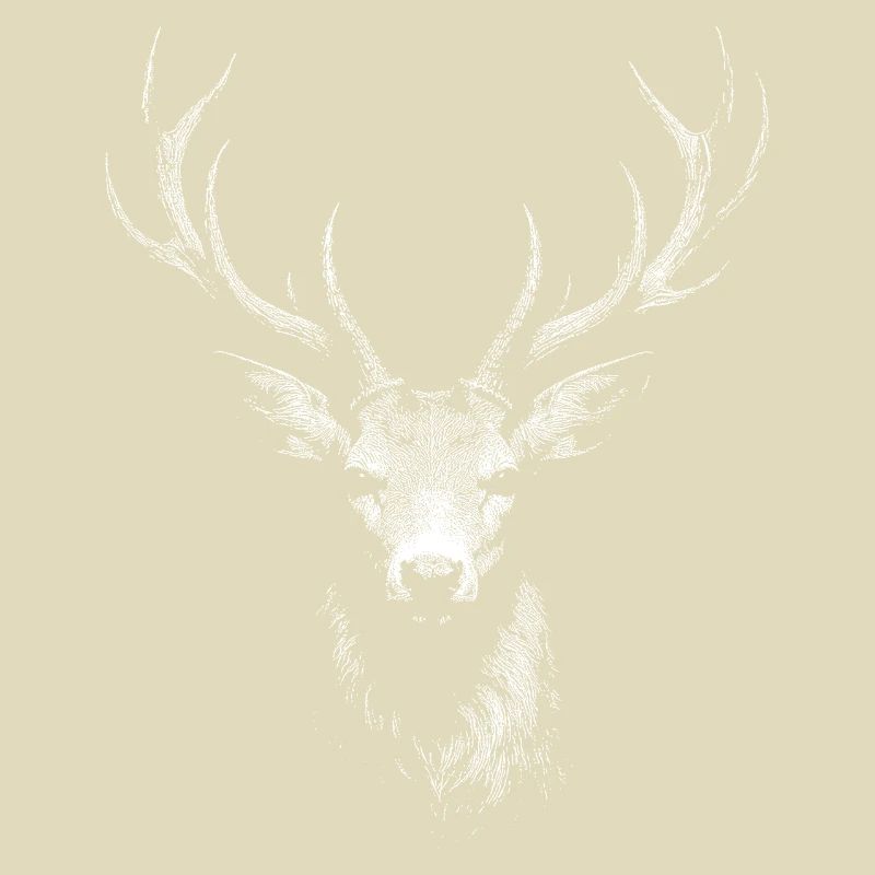 roe deer