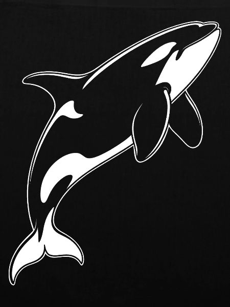 Delfin-Silhouette im Meer