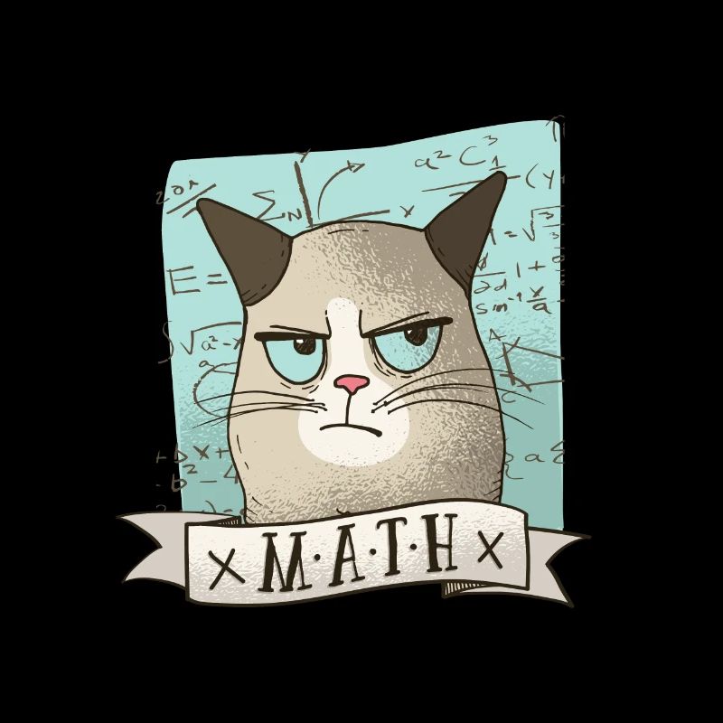 Mathe Nachhilfe Katze Lehrer Tshirt Geschenk