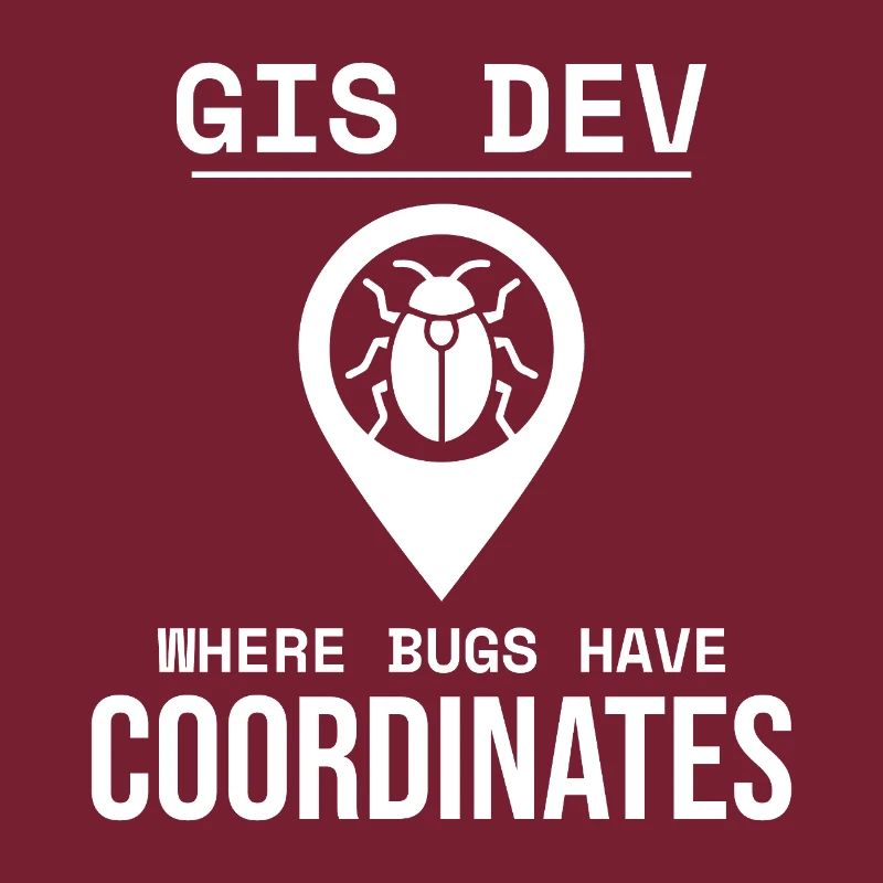 GIS Dev Debugging Coordinates Geospatial Bug