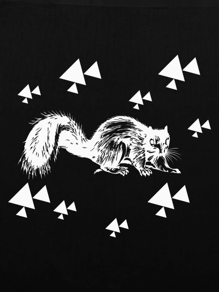 Eichhörnchen - Nagetier