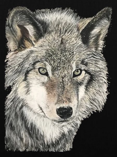 wolf