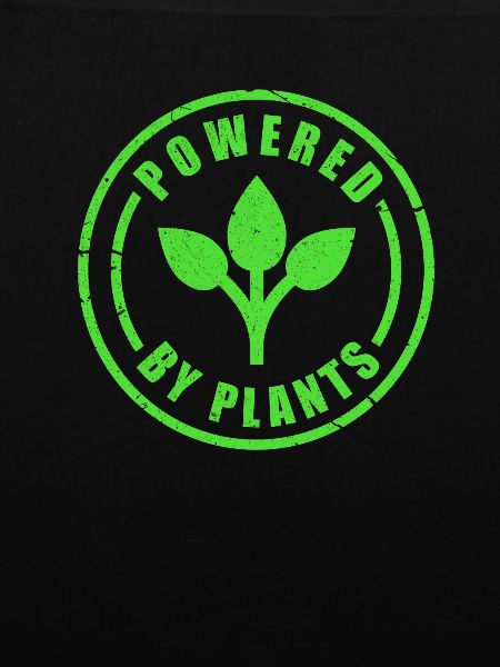 Vegan