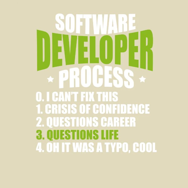 software developer