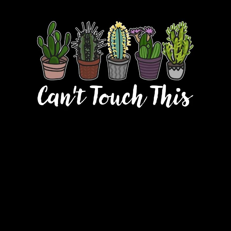 Plantes succulentes de cactus cactus
