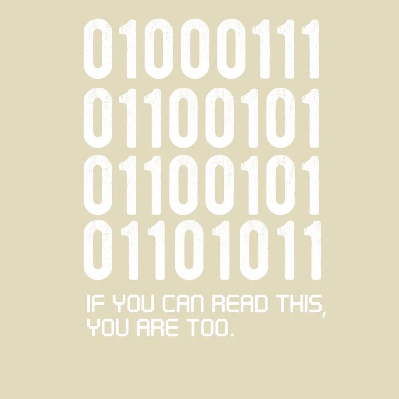 Funny Softaware developer gift, binary funny,