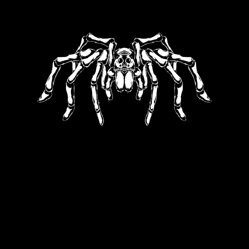Spider lovers - big spider