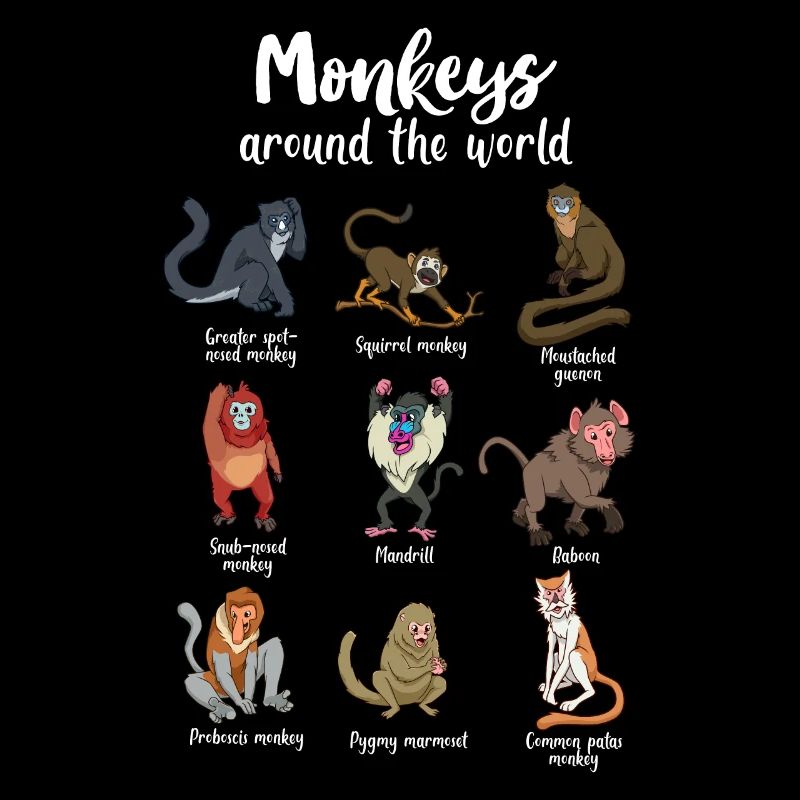 De nombreuses espèces de singes - singes du monde