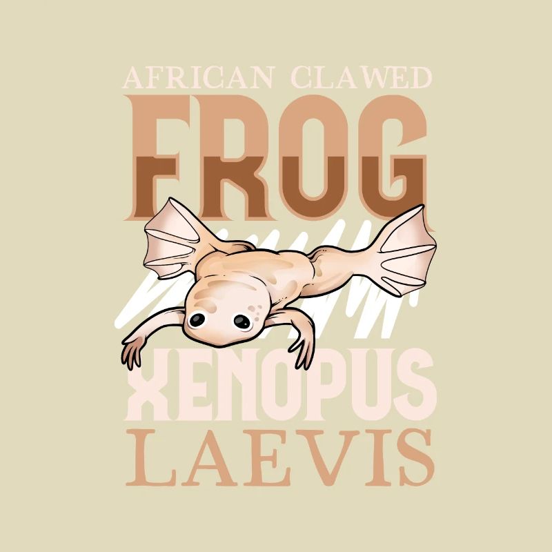 Clawed Frog