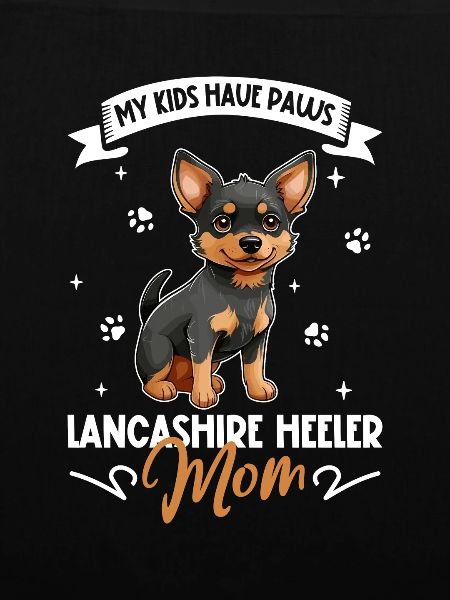 Lancashire Heeler Mama