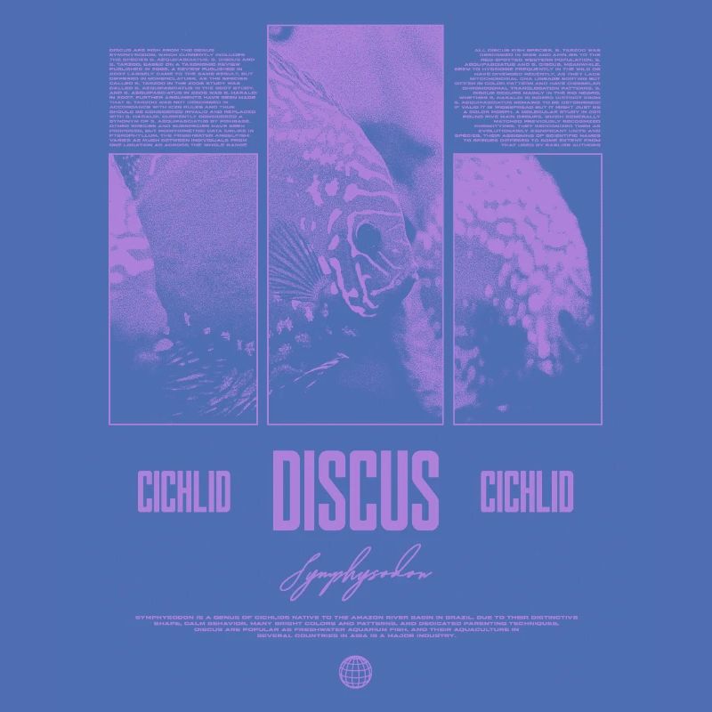 Discus Cichlidé Aquarium Fish Keeper