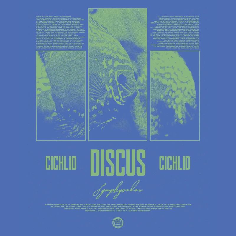 Discus Cichlidé Aquarium Fish Keeper