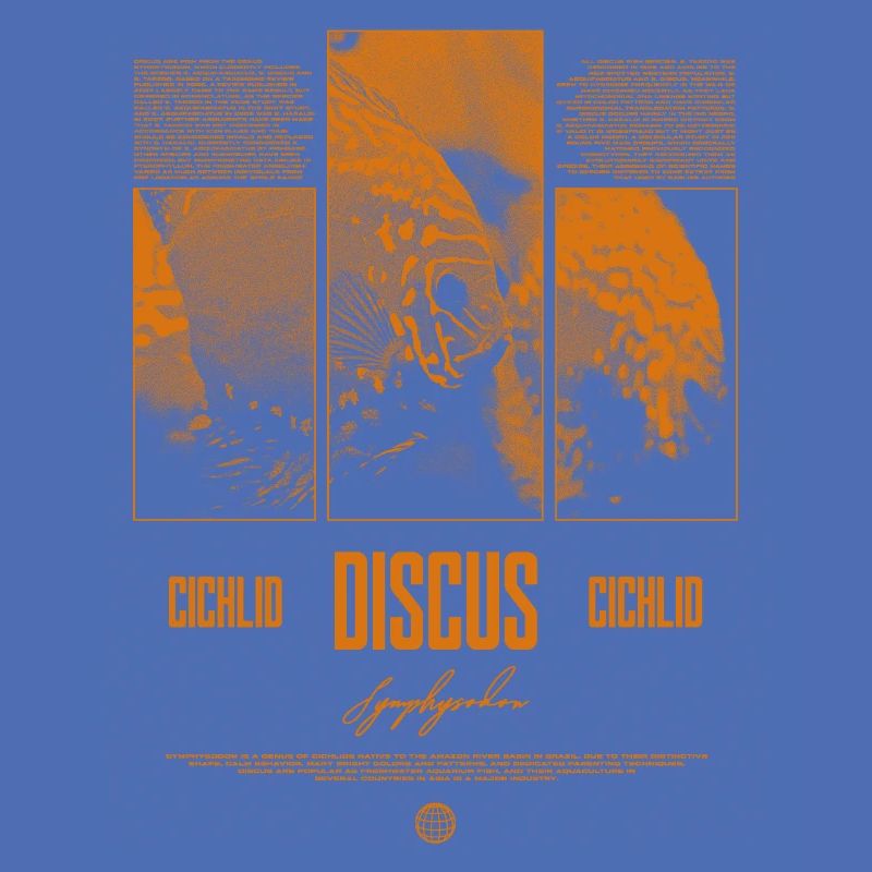 Discus Cichlidé Aquarium Fish Keeper