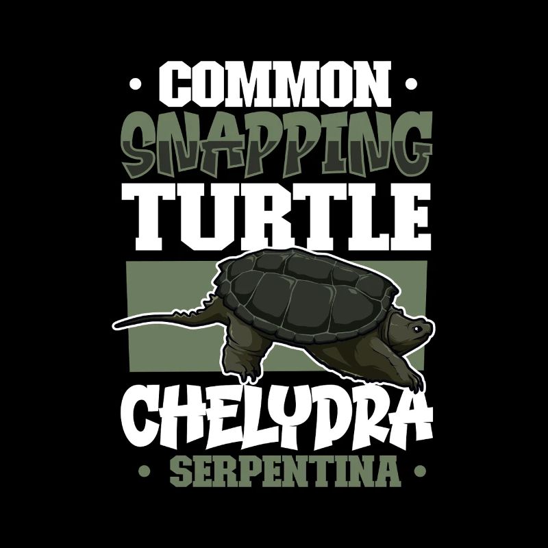 Schnappschildkröte