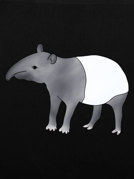Tapir
