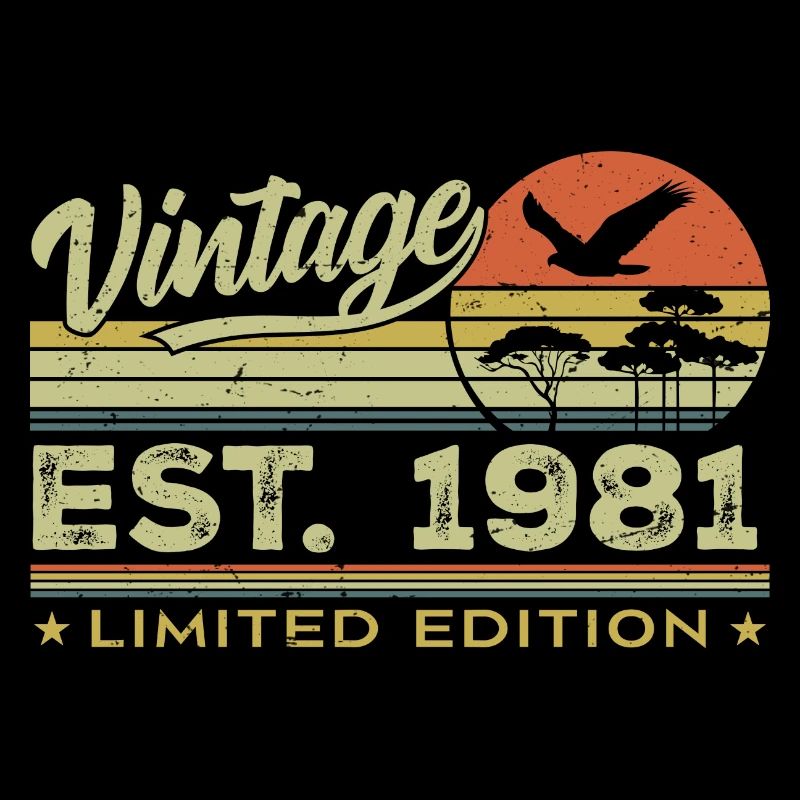 Vintage 1981 Awesome Since 1981 Gift 1981 Retro