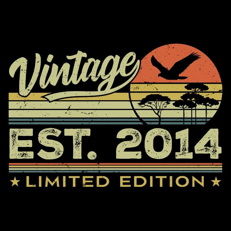 Vintage 2014 Awesome Since 2014 Gift 2014 Retro