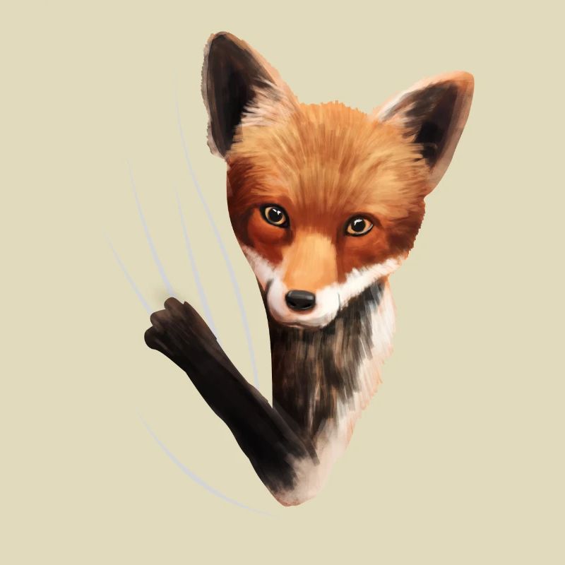 Fox foxes fox lover gift