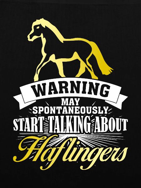 Haflinger Spruch Witz Haflingers