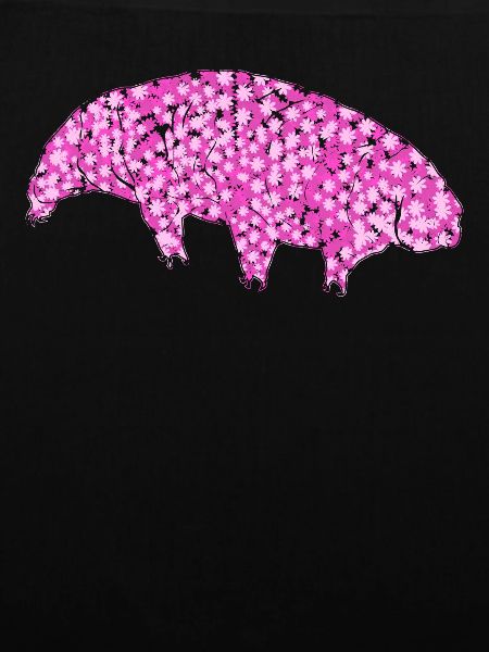 Tardigrade Bärtierchen Wasserbär