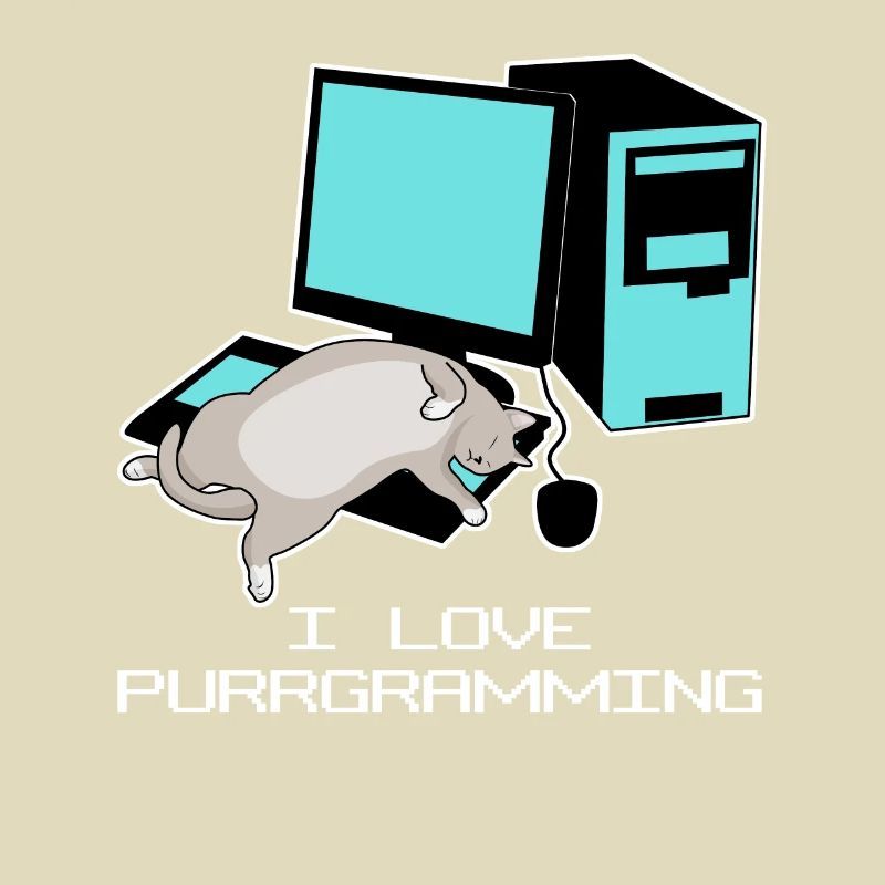 Programmeur Admin Computer Cat