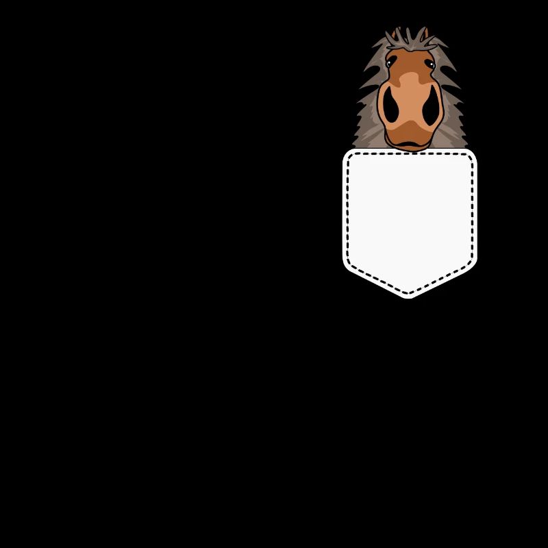 Shetland Pony Riding Shetland Pony Shetty