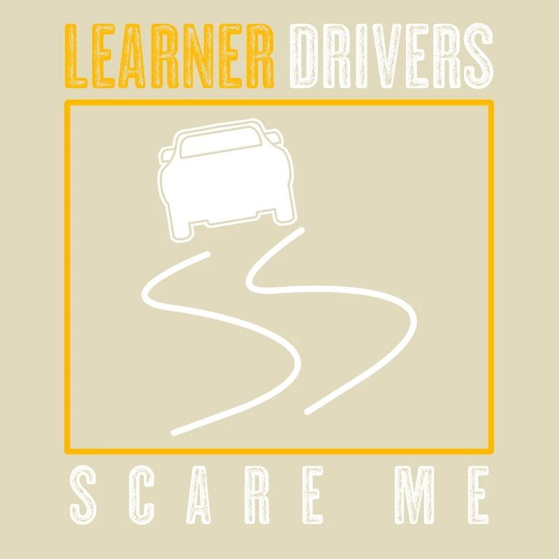 Driving Instructor Learner Driver