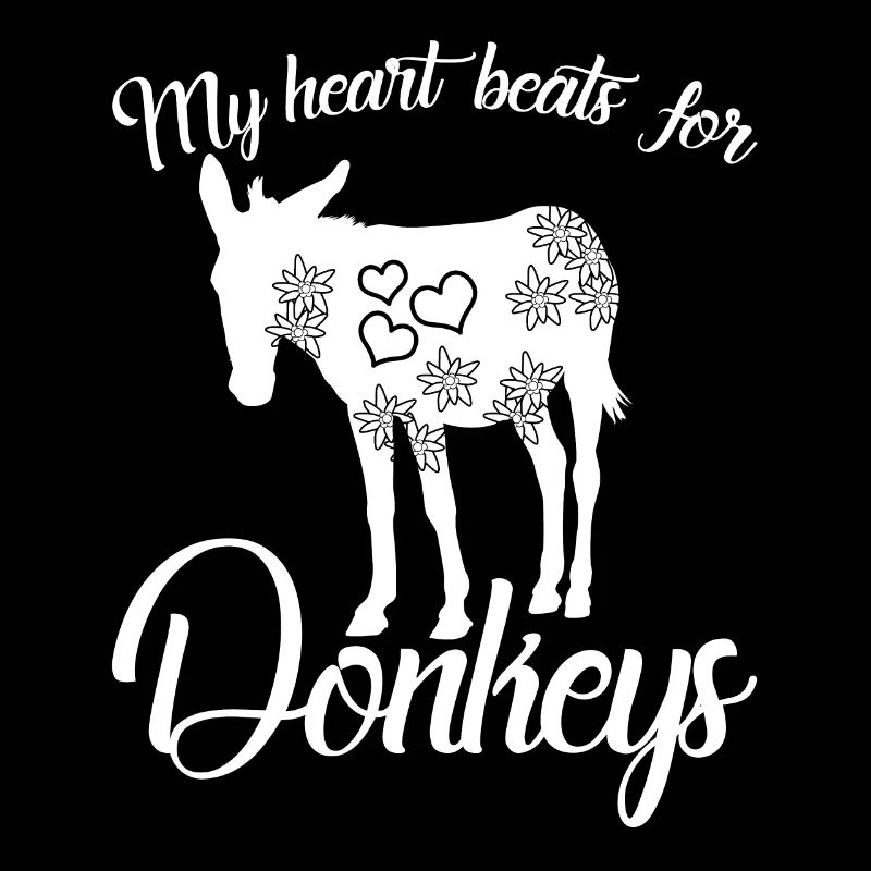 Donkeys Donkey