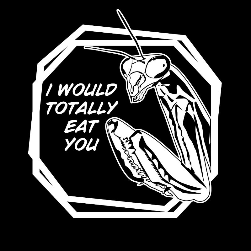 Praying Mantis Joke Insect
