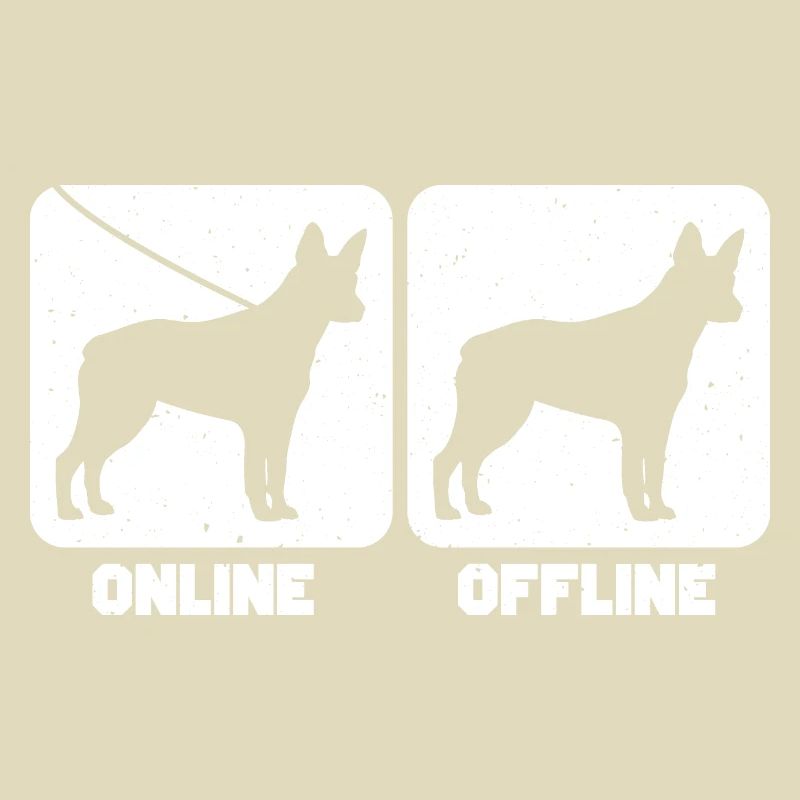 Australian Stumpy Tail Cattle Dog