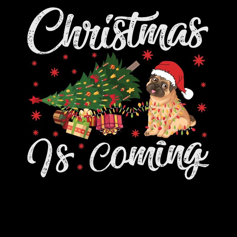 Noël arrive version chien