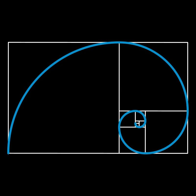 Fibonacci Spiral Golden Ratio Geometry Phi