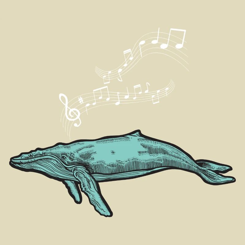baleines mer poisson eau mer mer cachalot