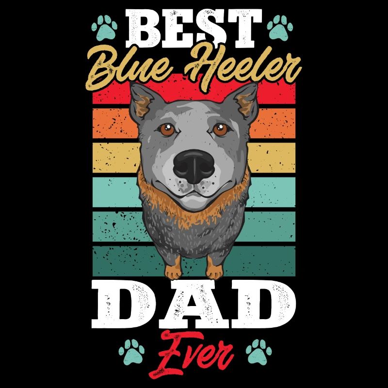 Bouvier australien Red Blue Heeler