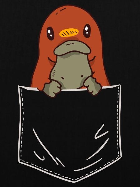 Platypus Schnabeltier