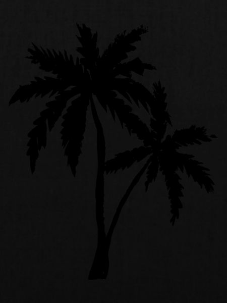 Palm Beach Holiday