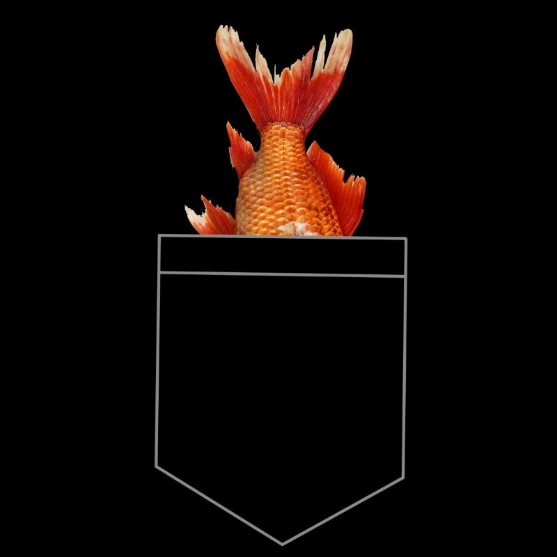 Poisson dans le sac