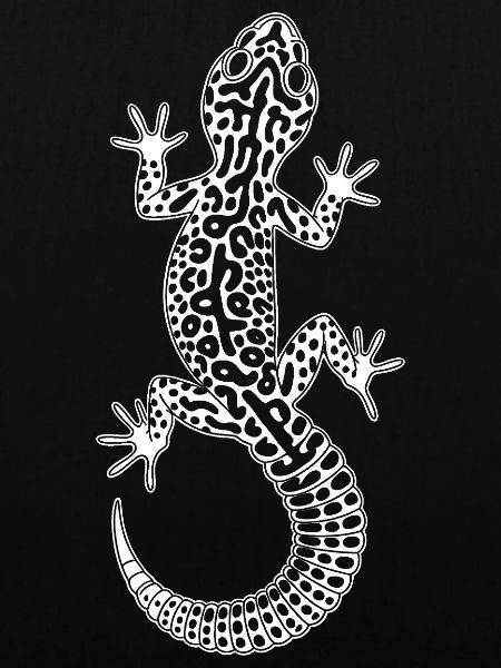 Gecko Linienkunst auf Tierform