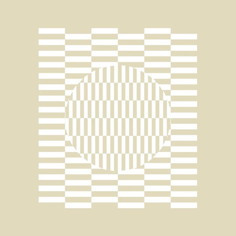 Visual grid perception illusion imagination