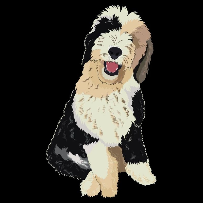 Cadeau de chien Sheepadoodle
