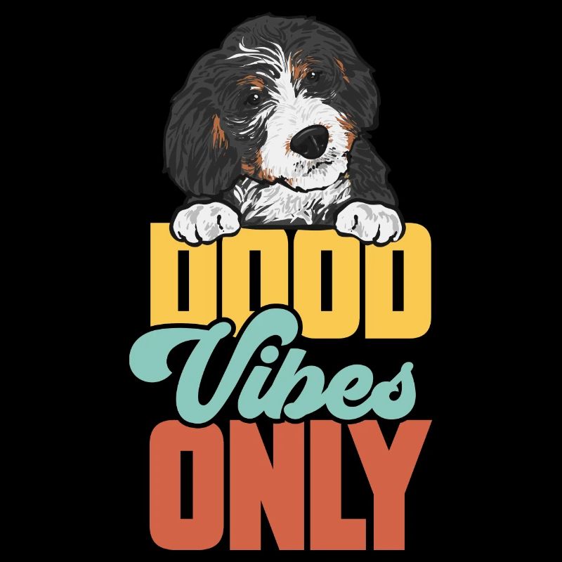 Bernedoodle Hund