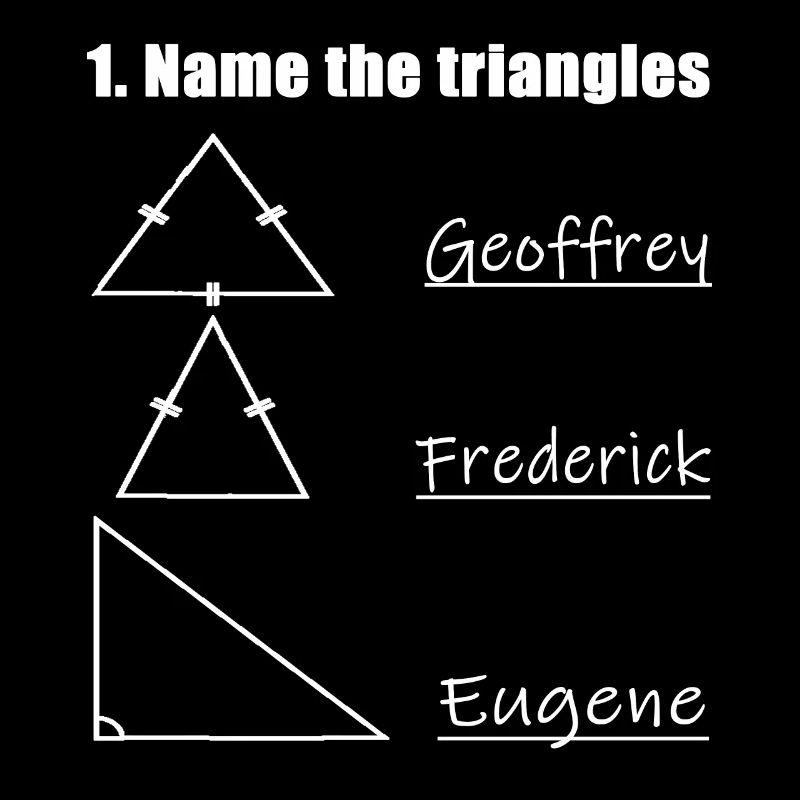Name The Triangles Funny Math Lover Outfits Math